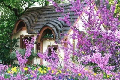 todo paisaje jigsaw puzzle