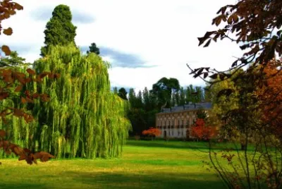 todo paisaje jigsaw puzzle