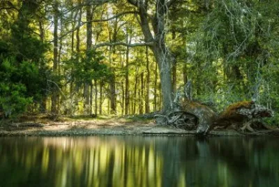 Paraje PucarÃ¡. NeuquÃ©n. Argentina jigsaw puzzle