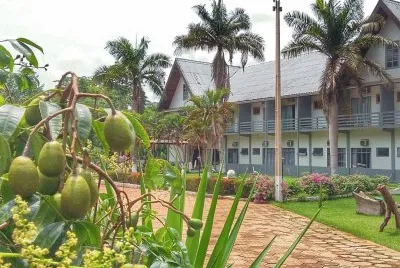 פאזל של Caja Manga no jardim