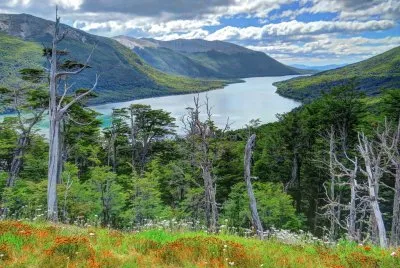 Lago Escondido. Tierra del Fuego. Argentina jigsaw puzzle