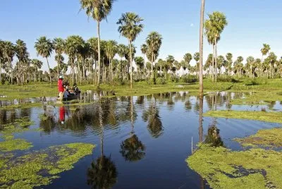 BaÃ±ado La Estrella. Formosa. Argentina jigsaw puzzle