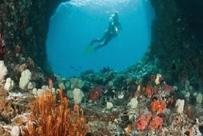 Cenote b