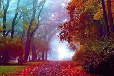 todo paisaje jigsaw puzzle