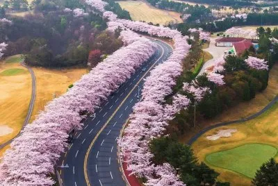imagens jigsaw puzzle