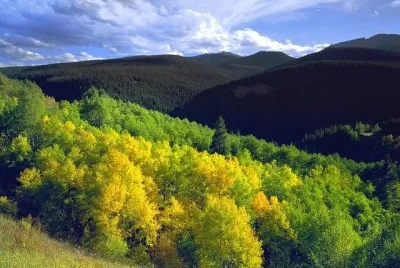 imagens jigsaw puzzle