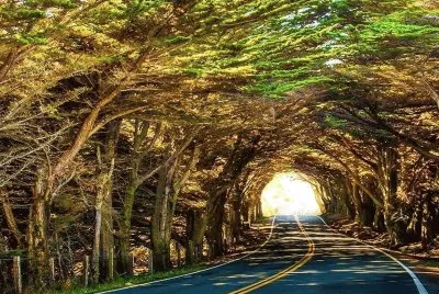 imagens jigsaw puzzle