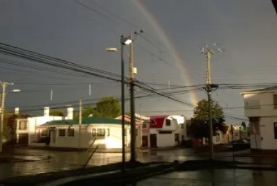 פאזל של rainbow