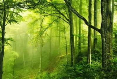 PAISAJE jigsaw puzzle
