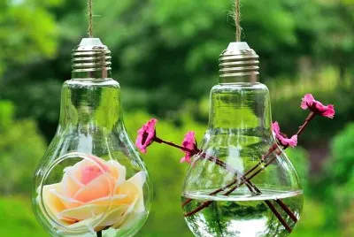 Laparas y Plantas