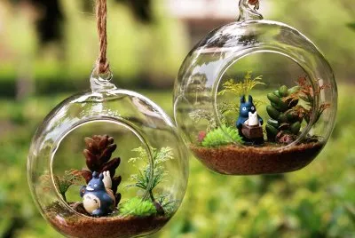 Plants
