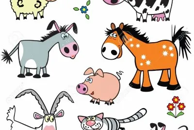 vaca