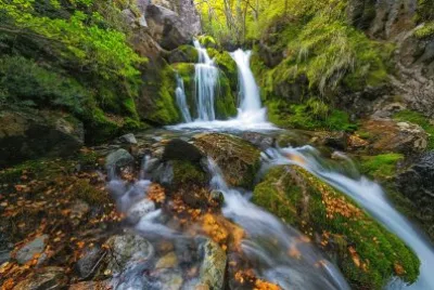 En el PN Los Glaciares. Patagonia Argentina jigsaw puzzle