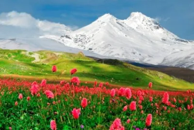 NATUREZA
