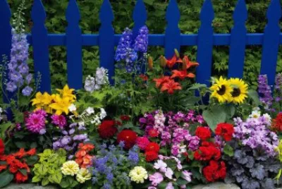 Jardin-con-Flores-