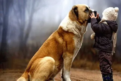 Amor-Animales-NiÃ±o