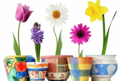 Flores en macetas