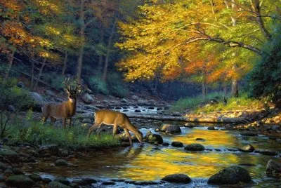 todo paisaje jigsaw puzzle