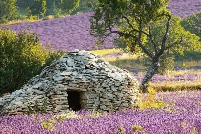 todo paisaje jigsaw puzzle