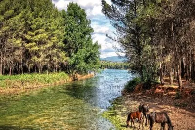 Maravilla de la Naturaleza jigsaw puzzle