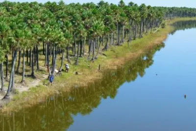 RÃ­o CalchaquÃ­. Santa Fe. Argentina jigsaw puzzle