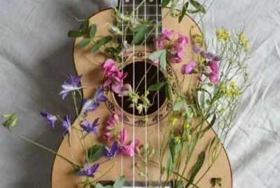 פאזל של flowers in my guitar