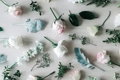 pale flowers