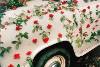 red flowers