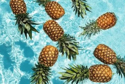 pineapples jigsaw puzzle