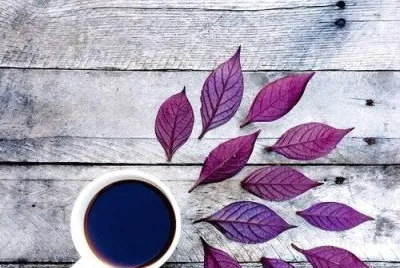 פאזל של purple autumn