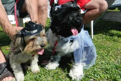 mariage jigsaw puzzle