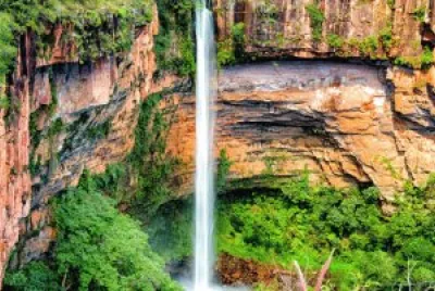 natureza jigsaw puzzle