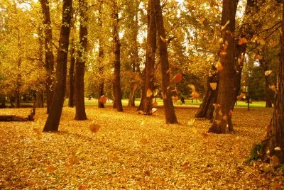 OtoÃ±o en CÃ³rdoba. Argentina