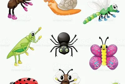 animales