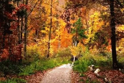 autumn 166