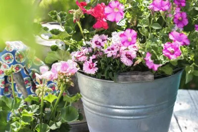 Summerflowers