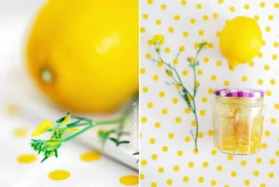 Citron jigsaw puzzle