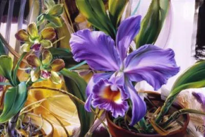 orquÃ­deas