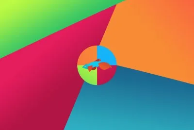 Software-Windows-