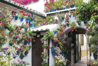 Patio(Varanda) en Cordoba