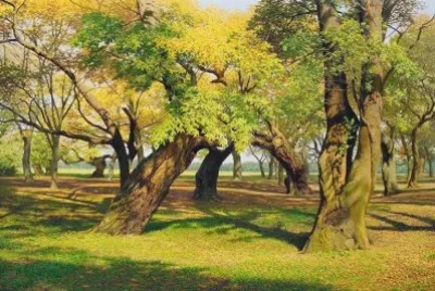 imagens jigsaw puzzle