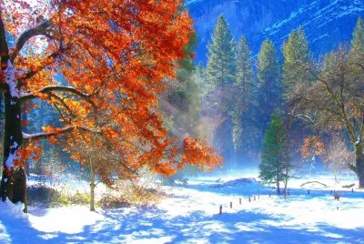 imagens jigsaw puzzle