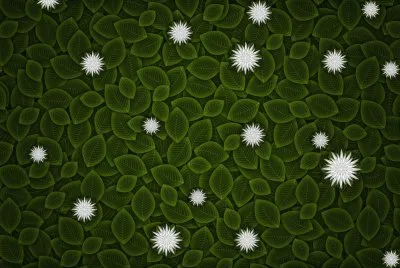 Minimalismo, hojas, flores.jpg