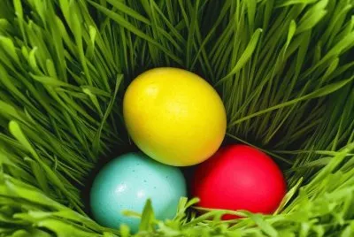 Huevos coloridos .jpg