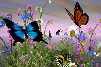 Arte Digital,Mariposas .jpg