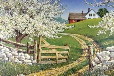 todo paisaje jigsaw puzzle