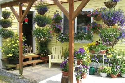 todo paisaje jigsaw puzzle