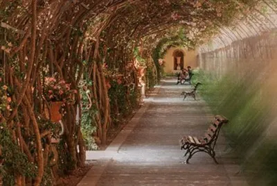 todo paisaje jigsaw puzzle