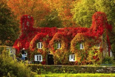 autunno jigsaw puzzle