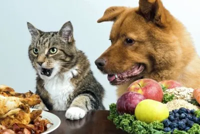 Animales, Humor.jpg jigsaw puzzle